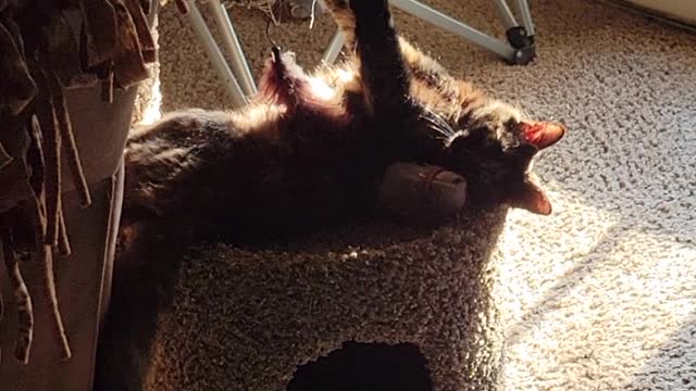 Boots in the sun