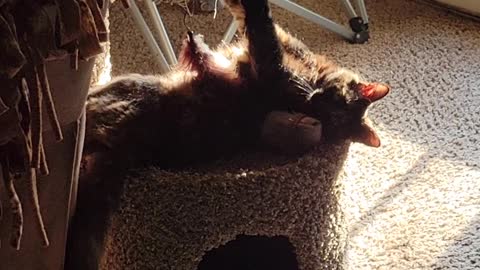 Boots in the sun