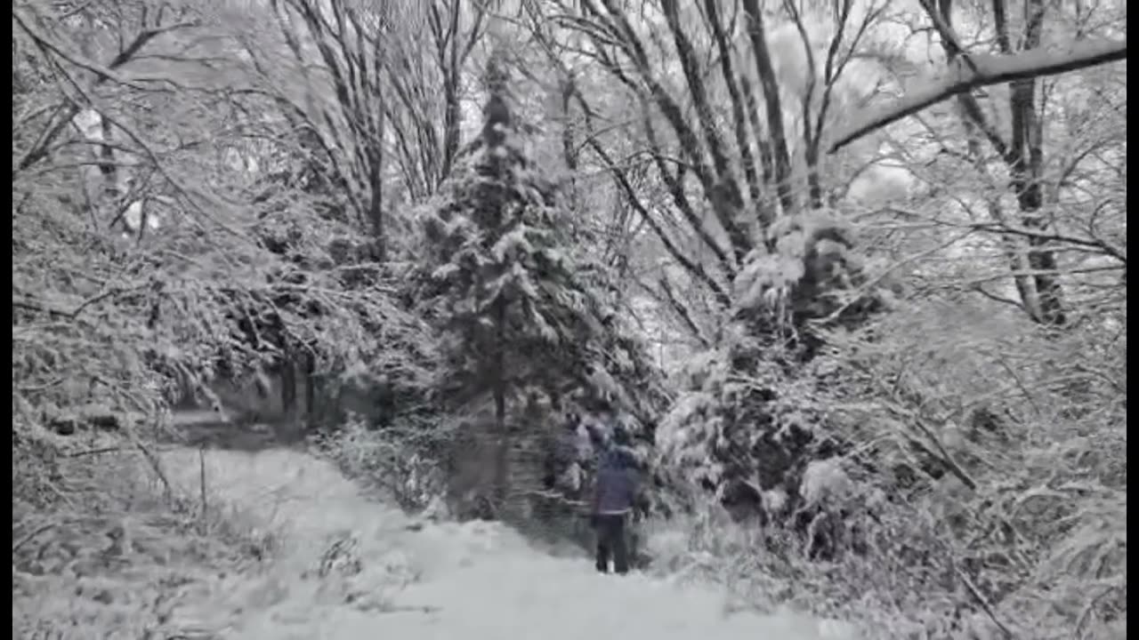 Boldfoot Midwest Winter Begins