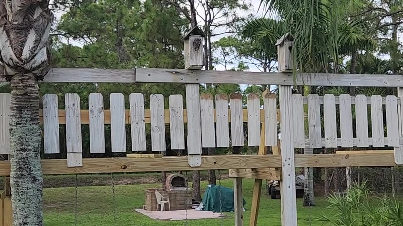 An Owl visits the playground birdhouse