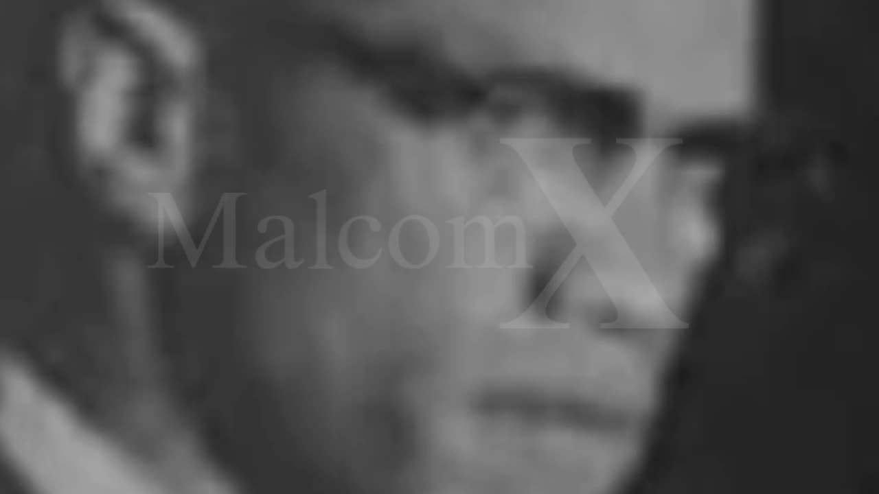 Who is The Black American lion (Malcom X)