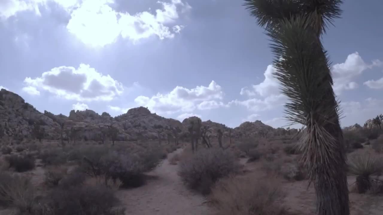 Off Trail Hiking Joshua Tree National Park California