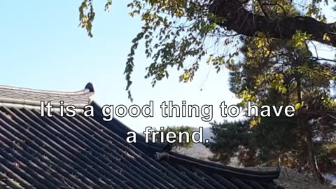It is a good thing to have a friend. You know, if you are a good friend, you do not like to be ...
