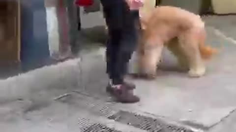 DAD AND HIS DOG PART 2