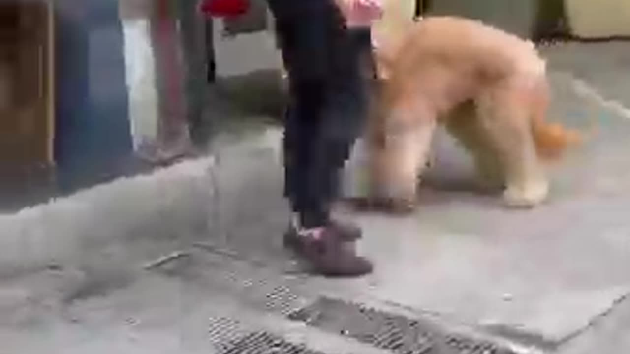 DAD AND HIS DOG PART 2