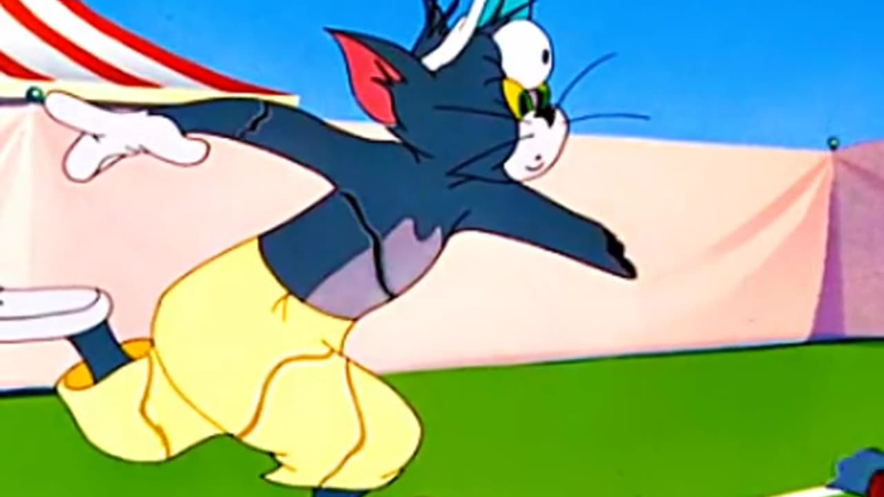 tomandjerry