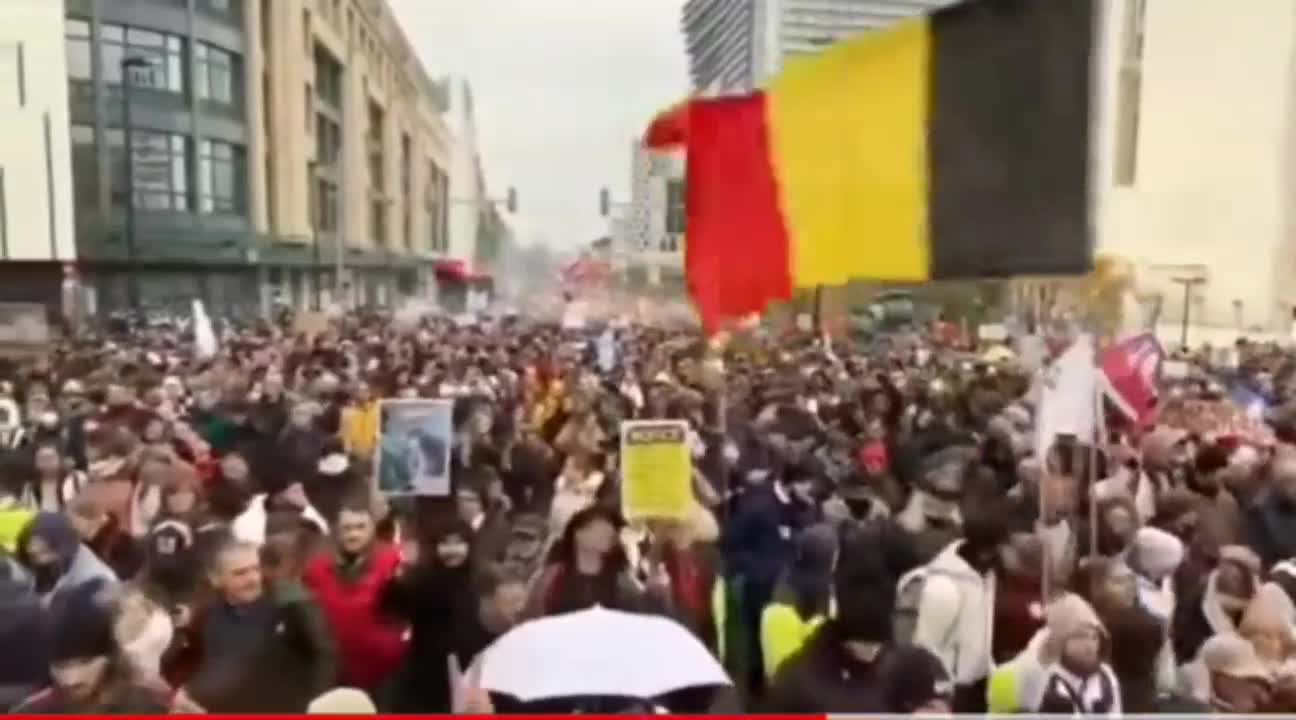 🇧🇪 ✊ The Belgium Revolution NOW!