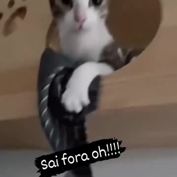 Better luck next time 😂😂😂😂