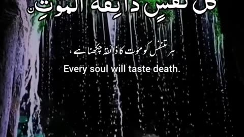 Every Soul Will Taste Death