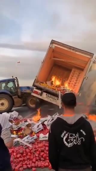 RIA Novosti: L'entità delle proteste degli agricoltori in Francia