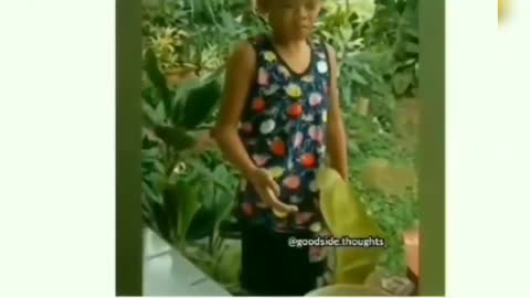 Try Not To Laugh Funny Videos - Funny Moments Of The Year Compilation