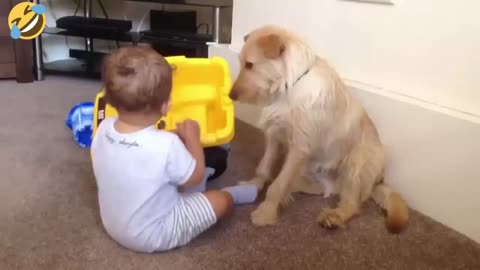 Animals never fail to make us laugh-super funny animal compilation