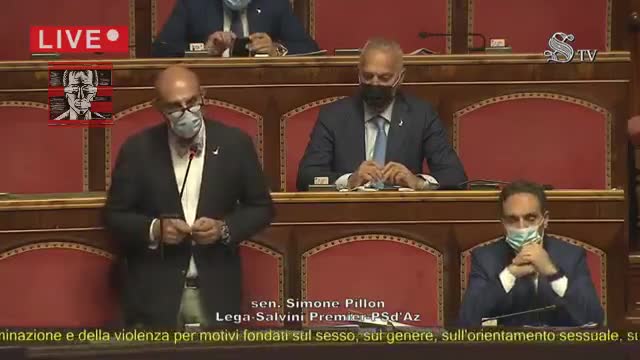 DL ZAN COMMENTATO MAGISTRALMENTE DAL SENATORE PILLON