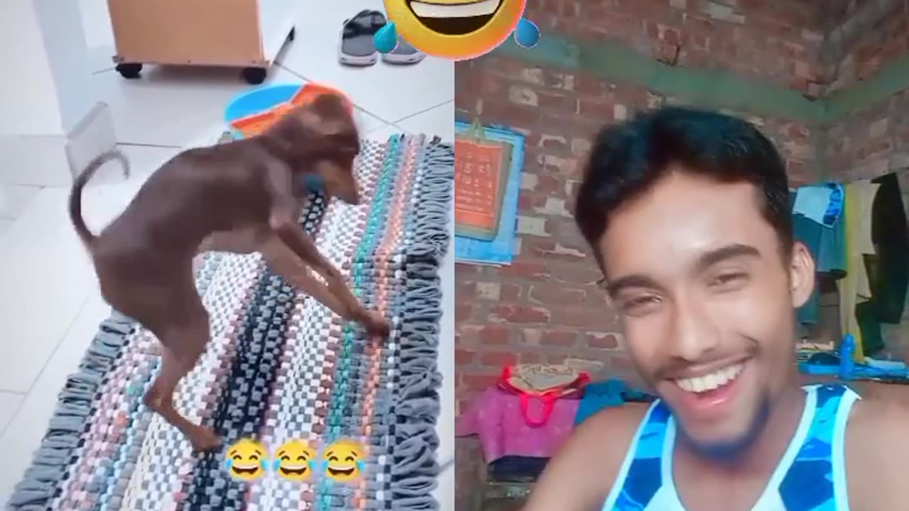 Dog funny video 🤪🤪