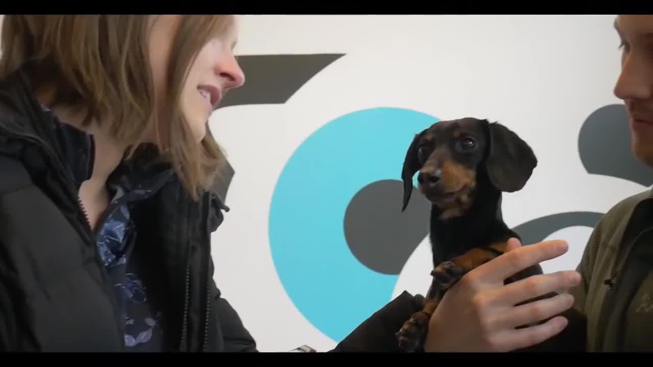 Crusoe Meet & Greet with Fans - in Support of National Cupcake Day for SPCAs