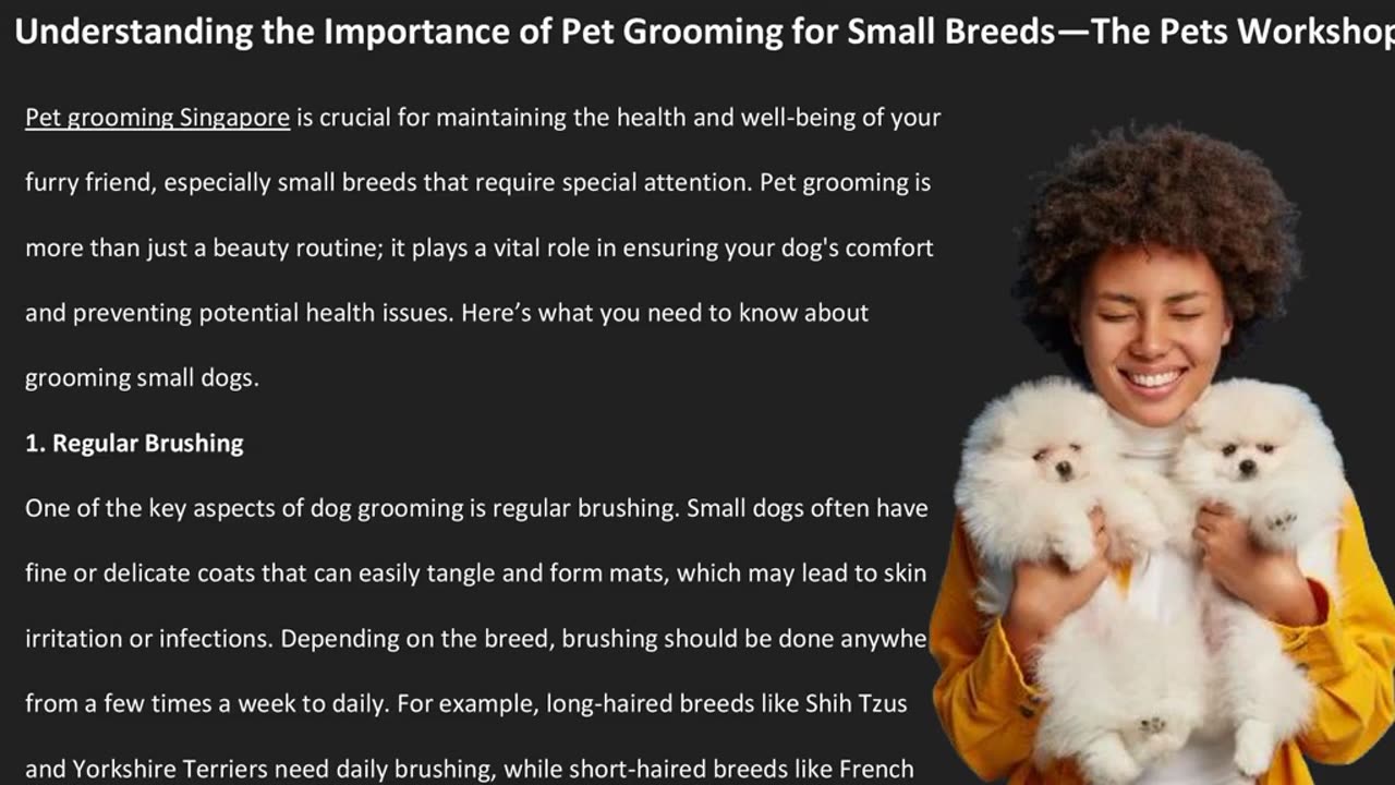 Understanding the Importance of Pet Grooming for Small Breeds—The Pets Workshop