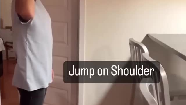 10 Things I Taught my Cat #rumble