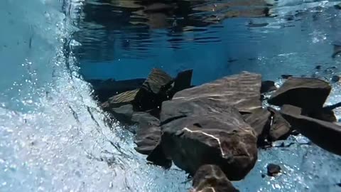 Beautilful Underwater View😍