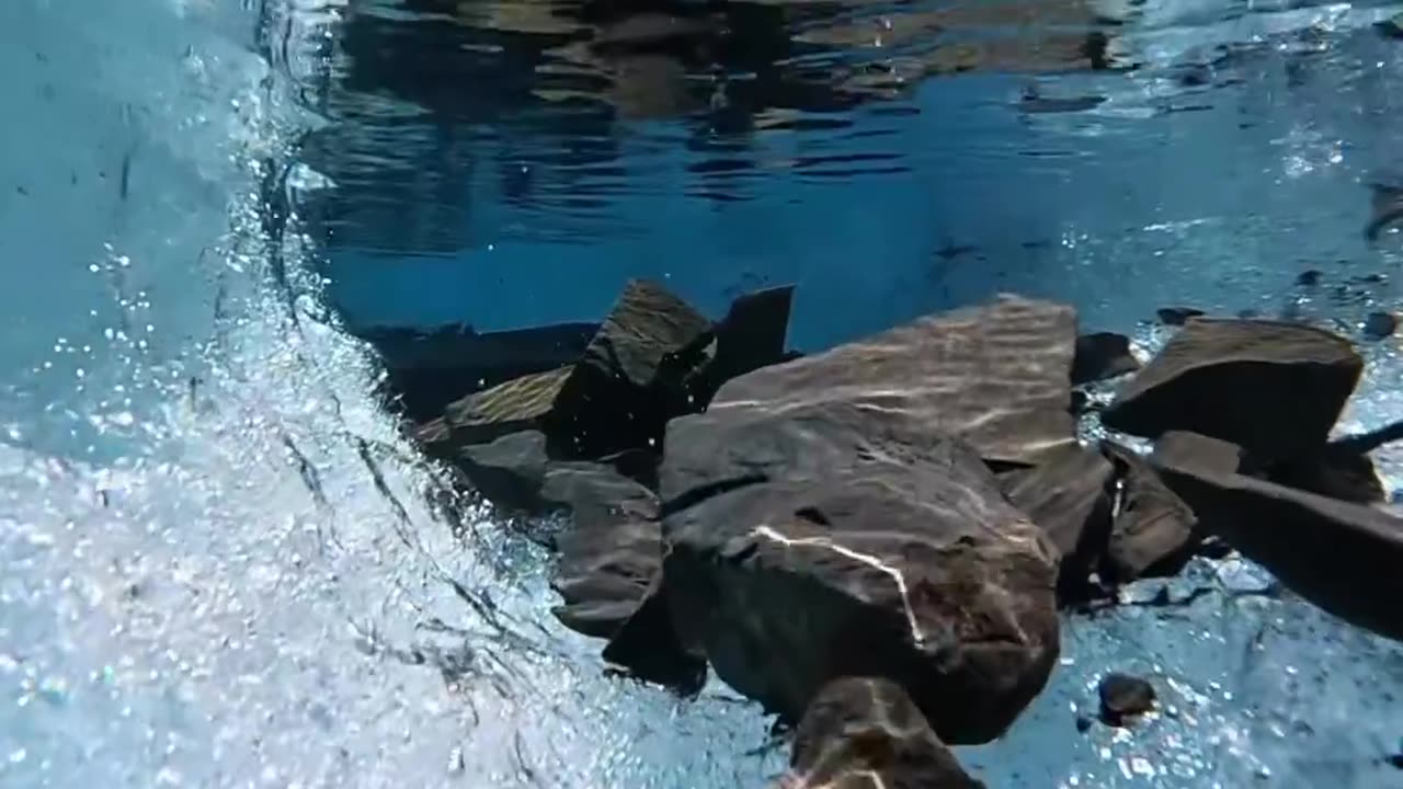 Beautilful Underwater View😍