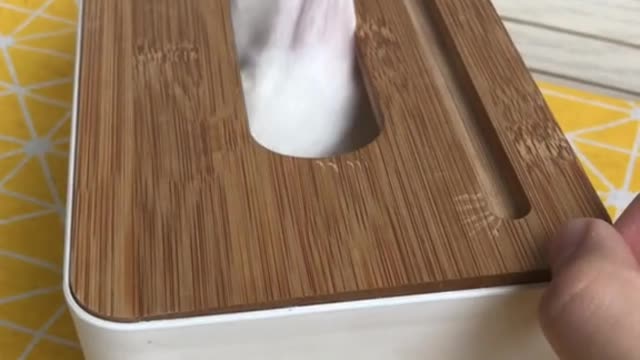 A mean little bunny