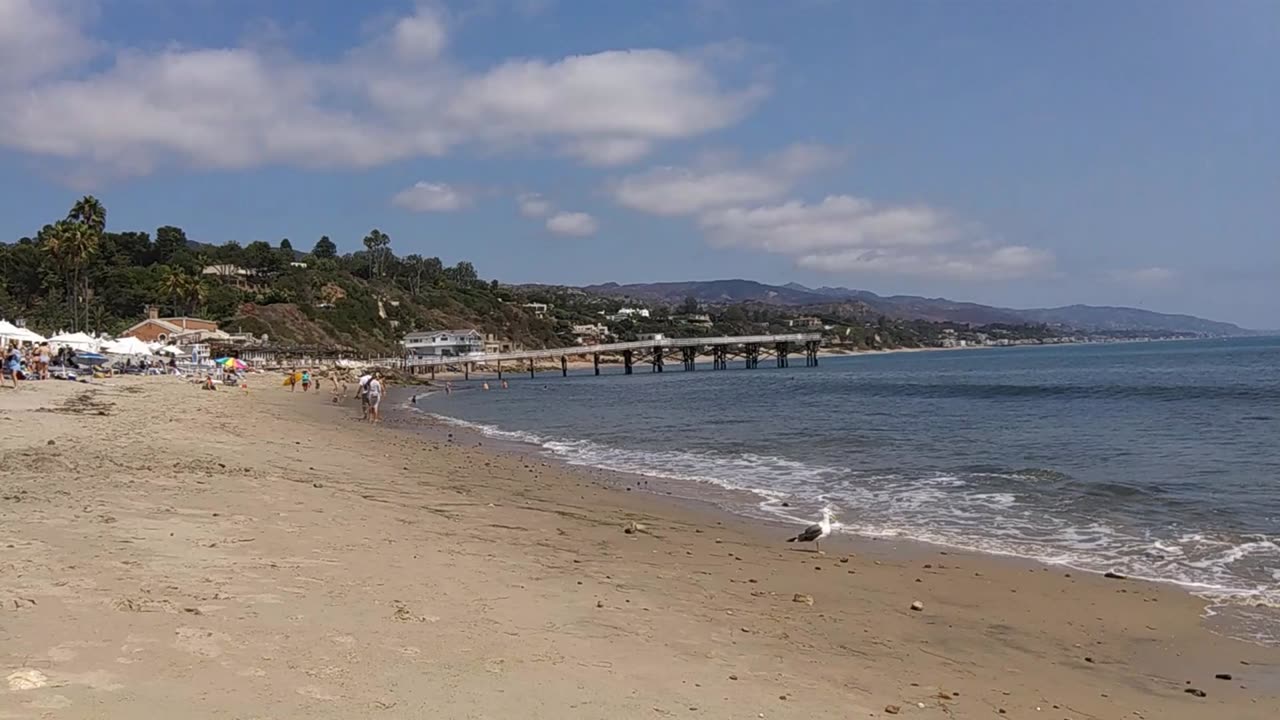 The Captain's View. Paradise Cove, Malibu, California. 09/14/24