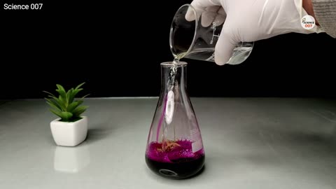 3 Science Easy Experiments to do at Home _ Simple Science Experiments For School