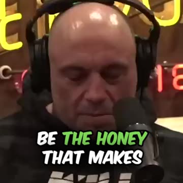 Tripping on Mad Honey I #shorts I #viral I #shortsfeed I #shortsviral I #shortsvideo I #jre