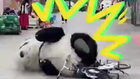 Cute panda suscraib chnal