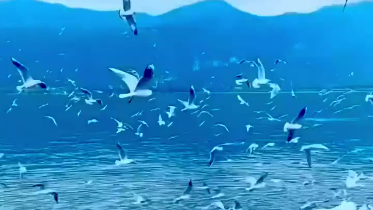 Don't see this because of u see this ur relaxed