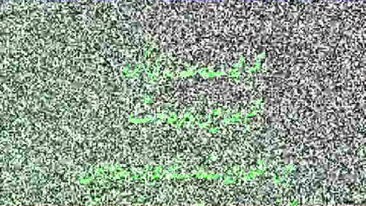 Daily video