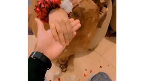 🥰🥰🥰🥰🥰🥰