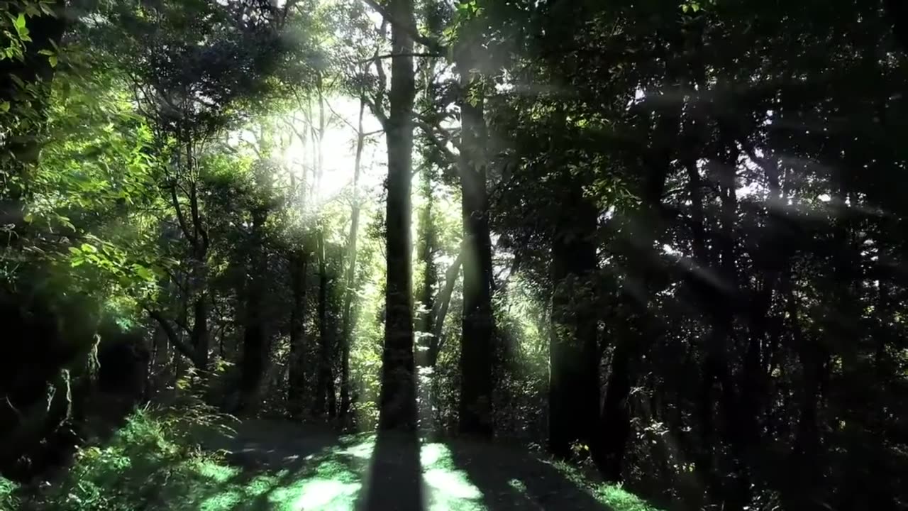 Relaxing Landscape