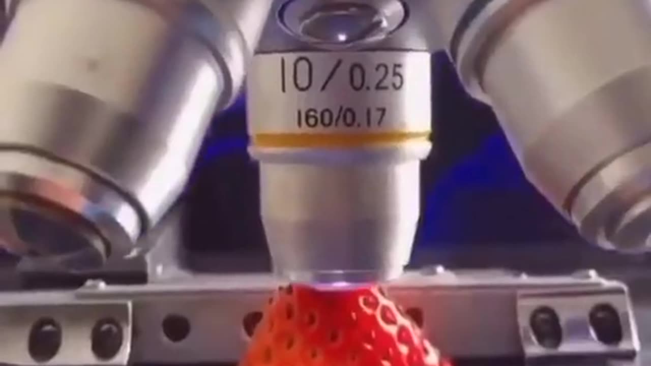 Always wash raw fruits and vegetable before use