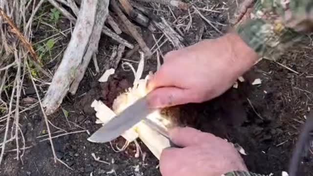 Making bread 🥖 on a stick #breadstick #survivalskill