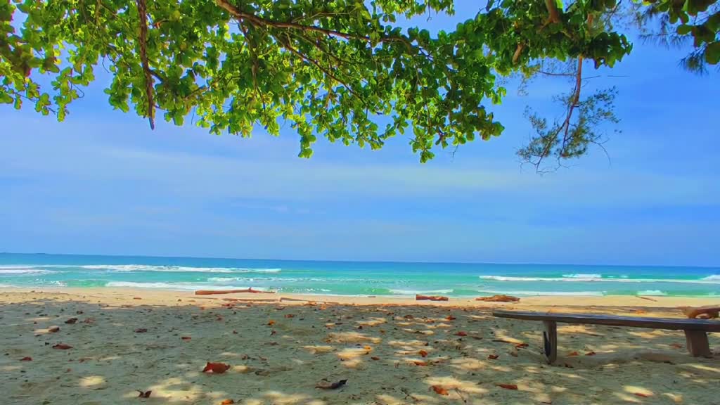 It's summer just to hear the prelude # Take you to see the sea # Sunny day