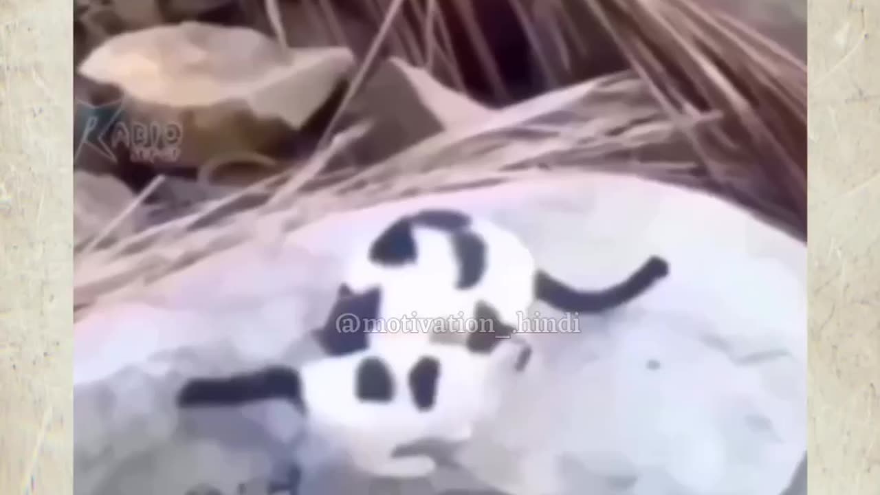 Ma to ma hoti he