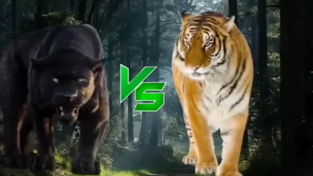 Most powerful animals