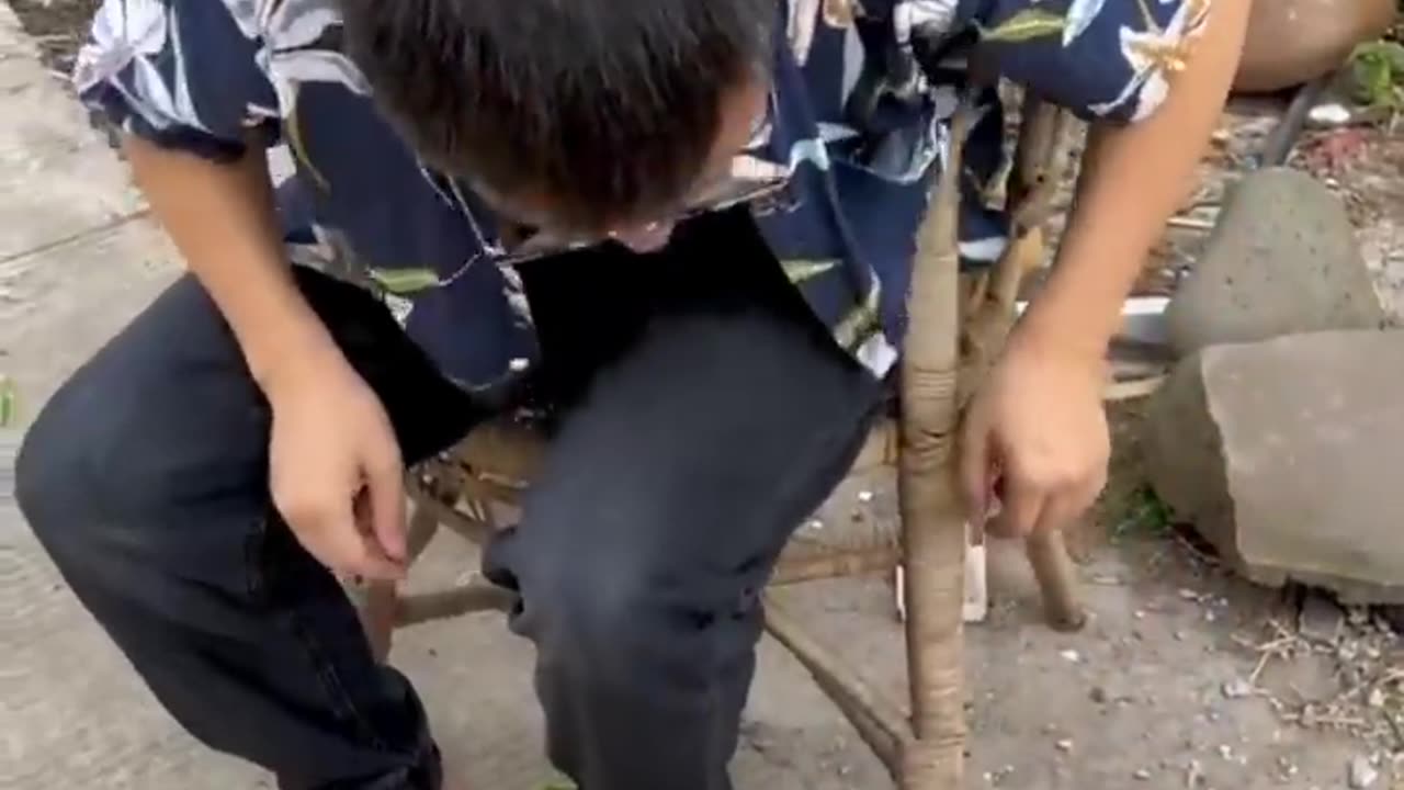 Funny video 2
