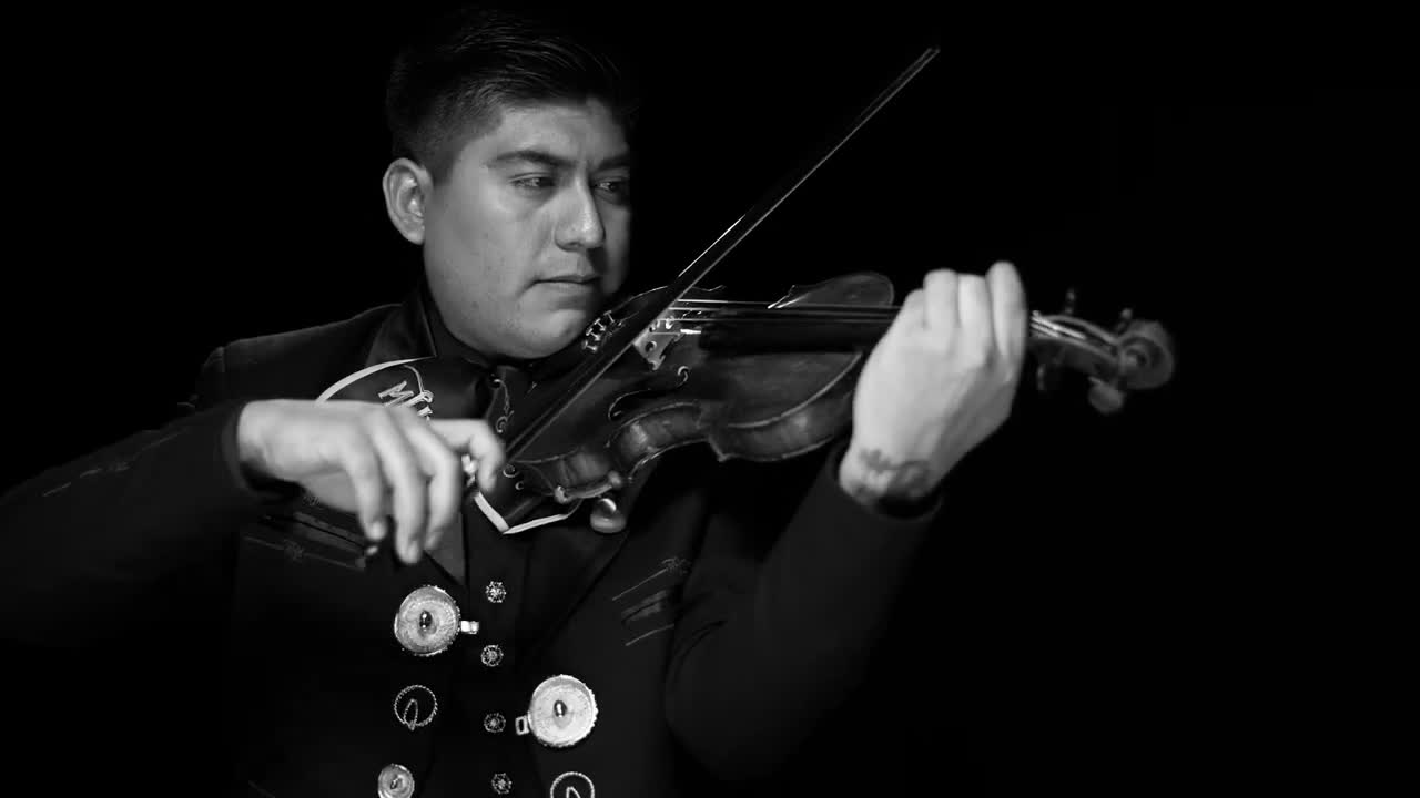 Mariachi Herencia De Mexico -
