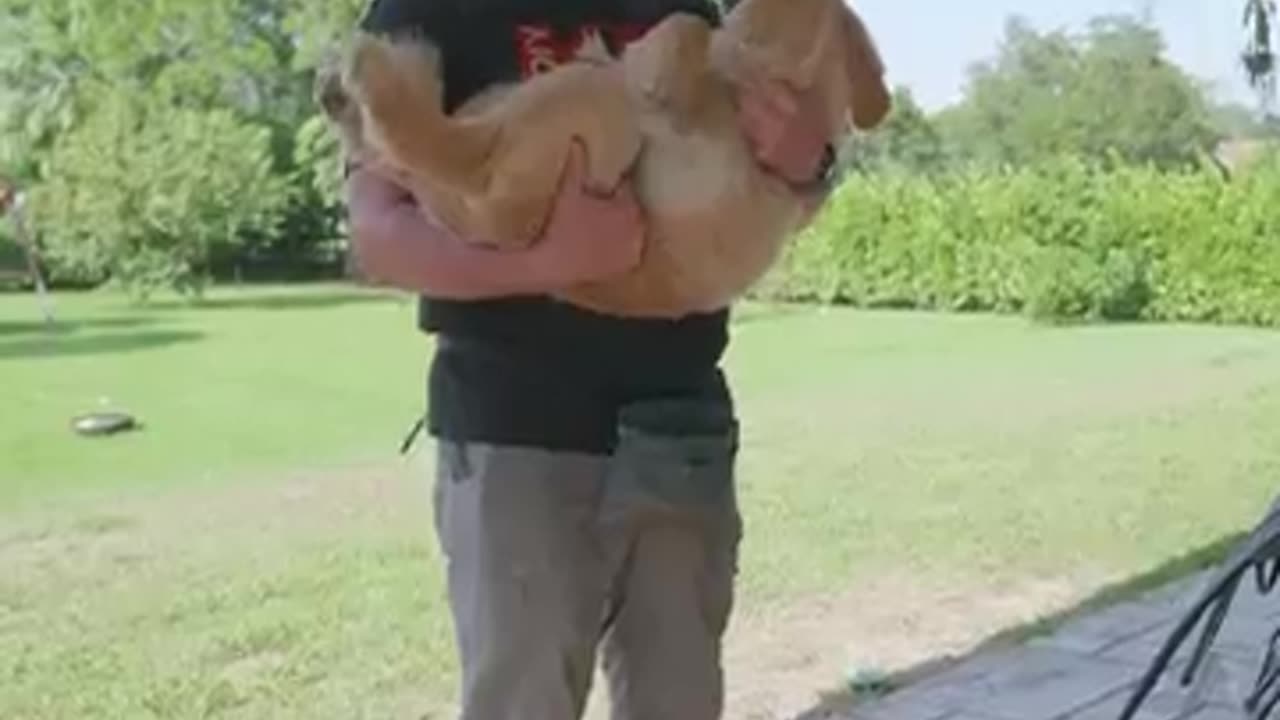 Try These 3 Tests to see if YOUR Puppy ls a Winner!!