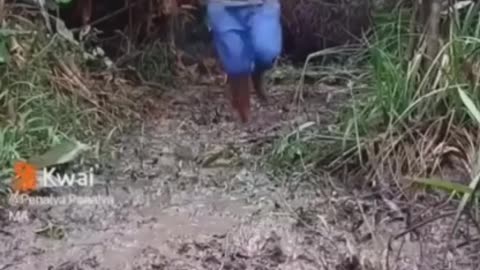 Funny video😂😂😂😂😂