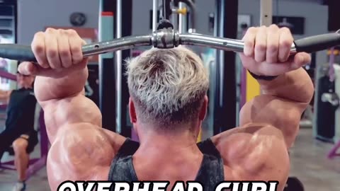 Biceps workout