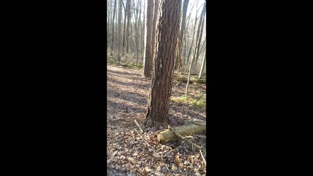 Throwing Axe Part 3