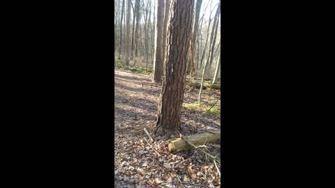 Throwing Axe Part 3