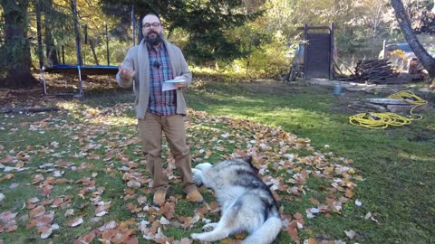 Украинският президент отказва предложенията за спиране на огъня – 09.11.2024