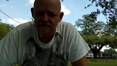 foraging free food, and they talk about homesteading and homelessness