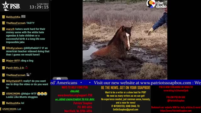 2022-04-18 13:00 EDT - "You Don't Say? Gang": with Nurse Nett, No Regerts, Maj WTF & more