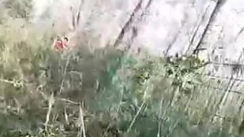 Three old people were trapped in reeds in Tianxingzhou.