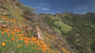 Great footage of Yosemite National Park