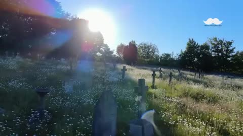 Watch this video change your life